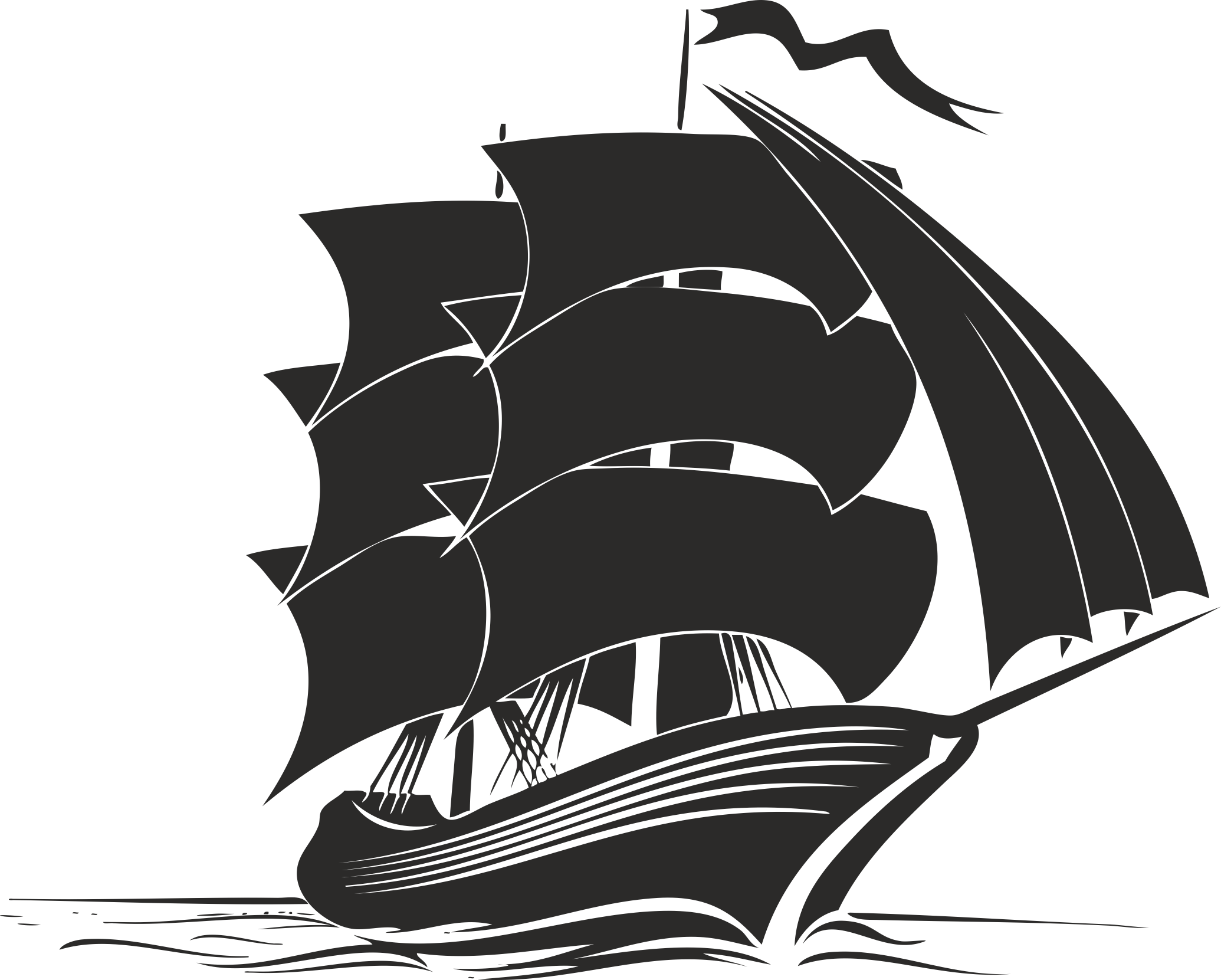 BLACK SEAGULL Logo
